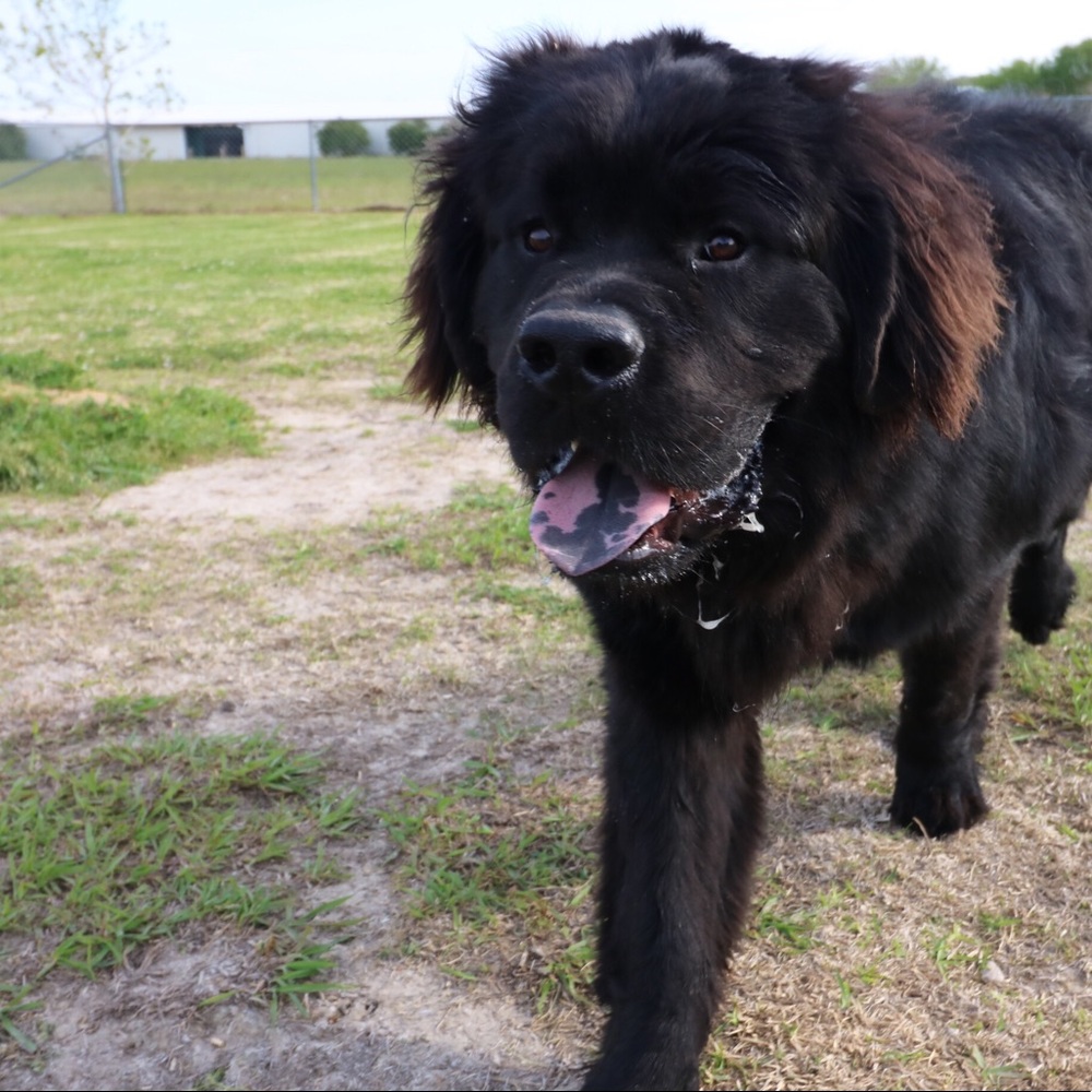 Meet your Posher, Tori